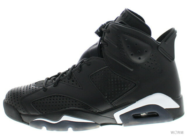 【US8】 AIR JORDAN 6 RETRO “BLACK CAT” 384664-020 【DS】