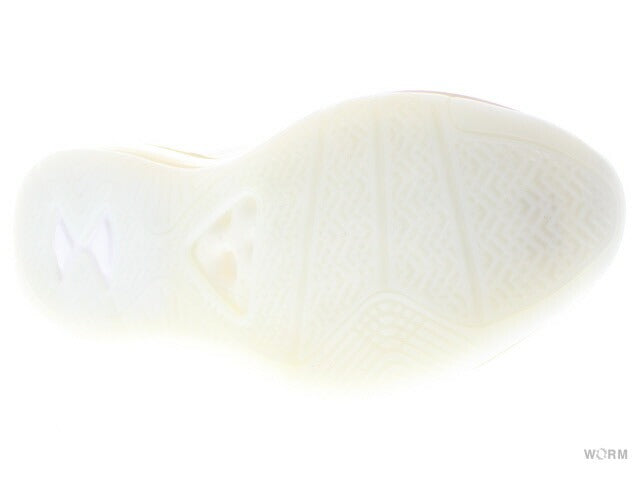 【US9】 NIKE LEBRON 10 QS JE ICON AQ0114-101 【DS】-WORM TOKYO-WORM TOKYO WEB STORE-100% Authentic Sneakers