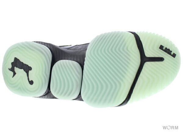 【US11】 NIKE LEBRON 16 SE CD2451-001 【DS】