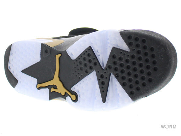 【US11.5】 AIR JORDAN 6 RETRO DMP CT4954-007 【DS】