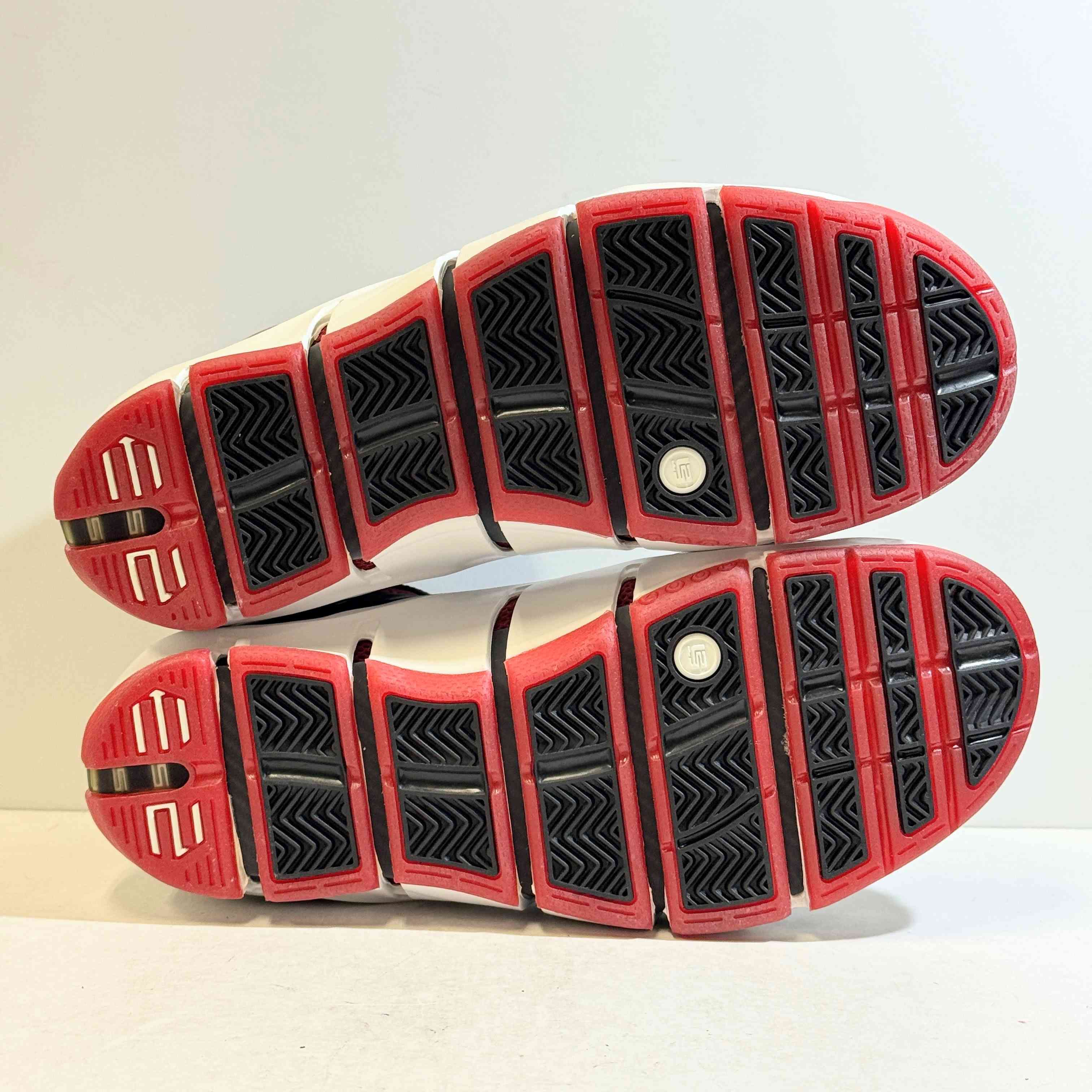 【US10.5】 NIKE ZOOM LEBRON 4 314647-011 【DS】