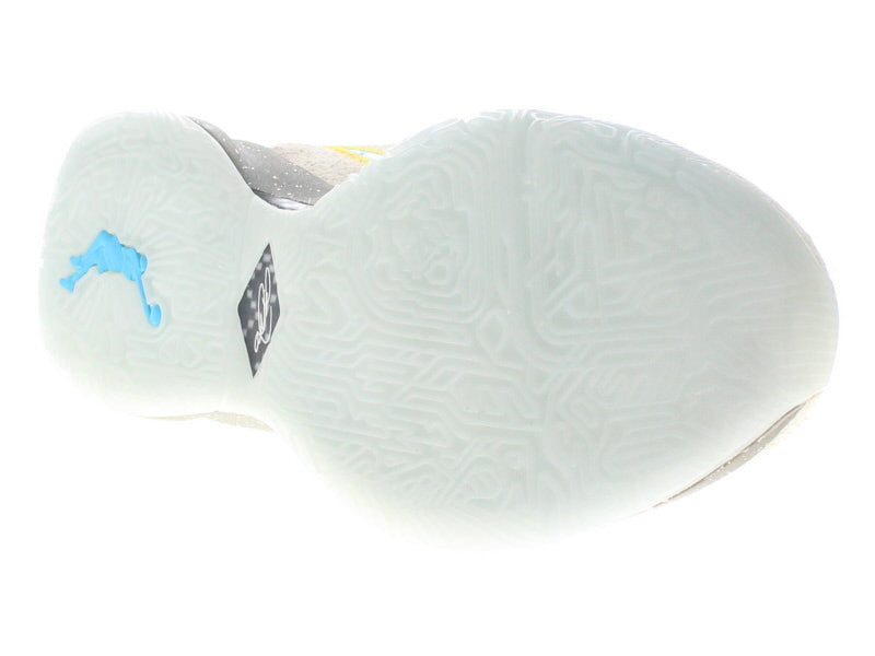 【US9.5】 NIKE LEBRON XX EP UNKNWN DV9089-801 【DS】