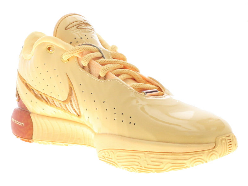 【US9.5】 NIKE LEBRON XXI EP Melo Melo FV2346-800 【DS】