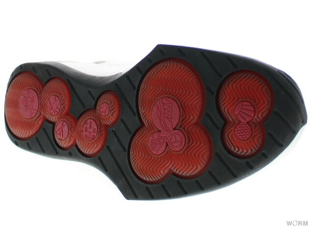 【US10】 JORDAN 20 310455-102 【DS】