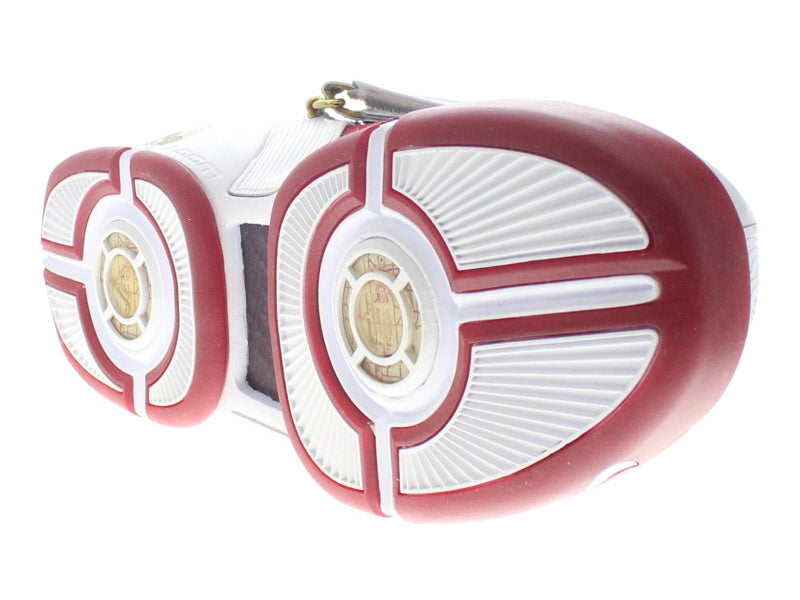 【US10.5】 NIKE ZOOM LEBRON 5 CHINA EDITION 317253-611 【DS】