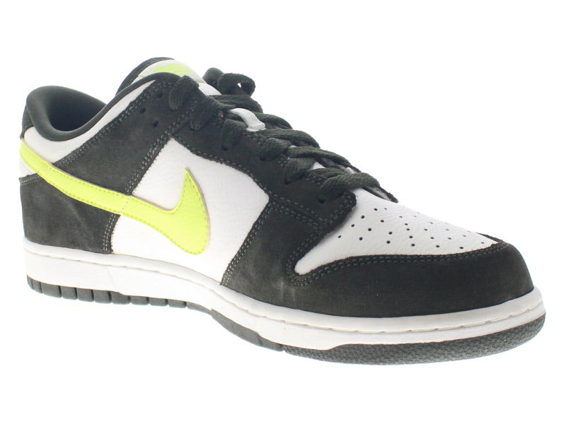 【US10】 NIKE DUNK LOW NKE 314142-172 【DS】