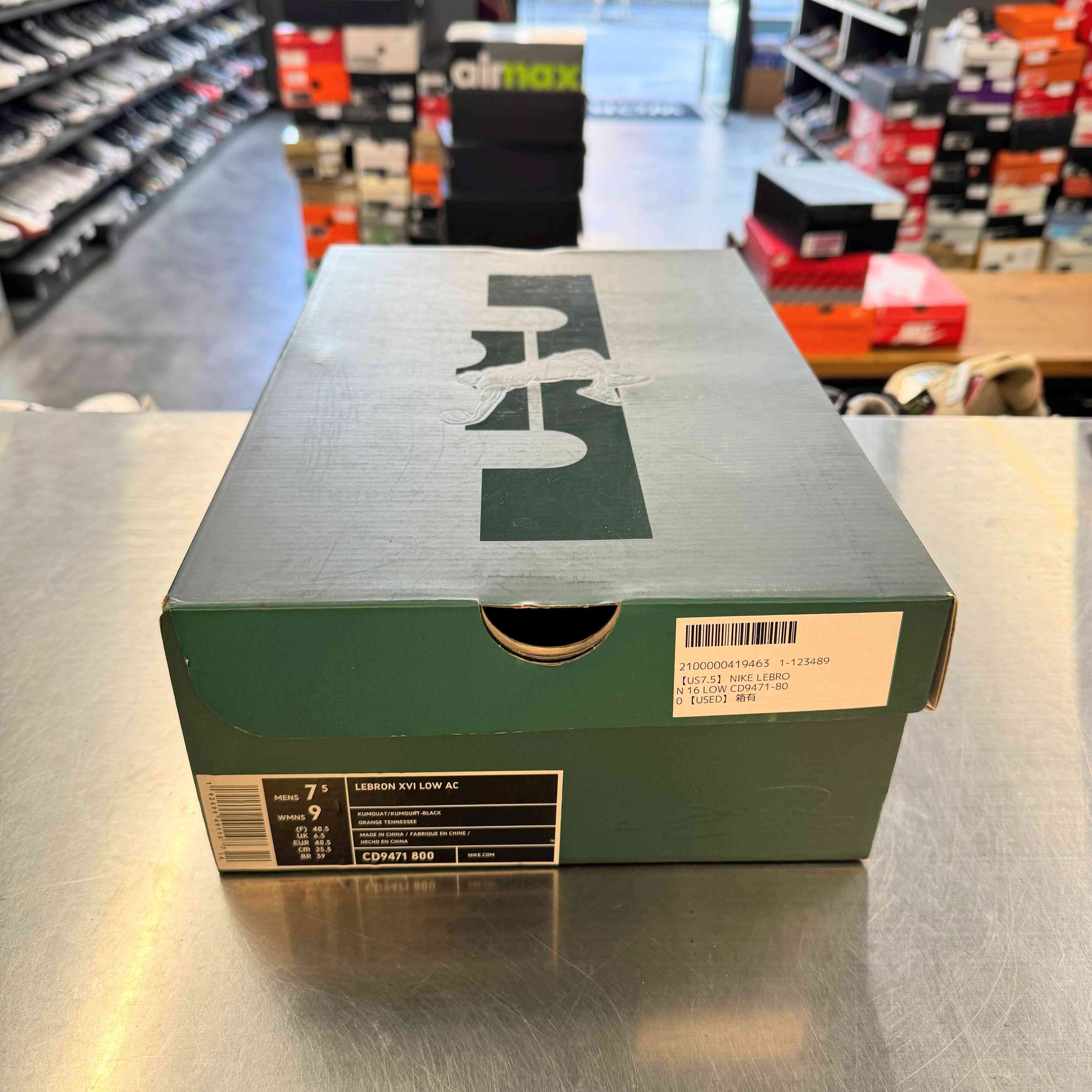 【US7.5】 NIKE LEBRON 16 LOW CD9471-800 【USED】