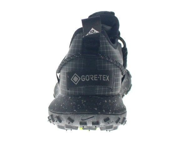【US10】 NIKE ACG MOUNTAIN FLY LOW GTX SE DD2861-002 【DS】