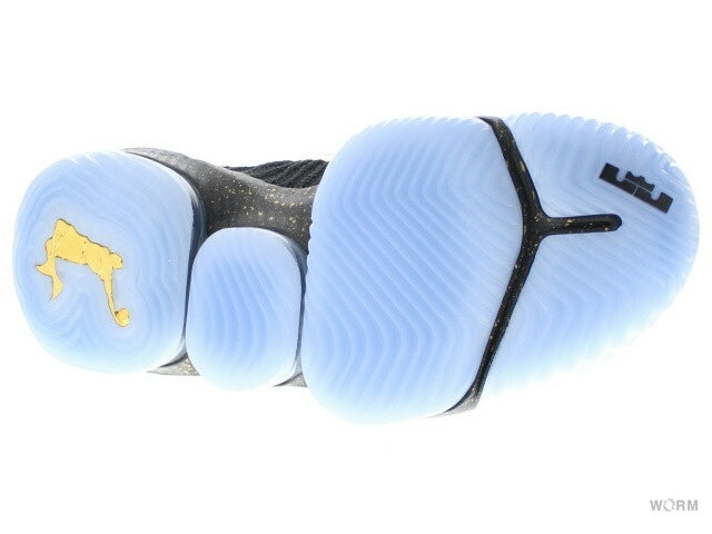 【US10.5】 NIKE LEBRON XVI KC CI1518-001 【DS】