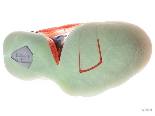 【US10.5】 NIKE LEBRON 9 AS 520811-800 【DS】
