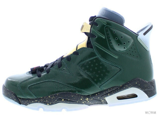【US11】 AIR JORDAN 6 RETRO CHAMPAGNE 384664-350 【DS】