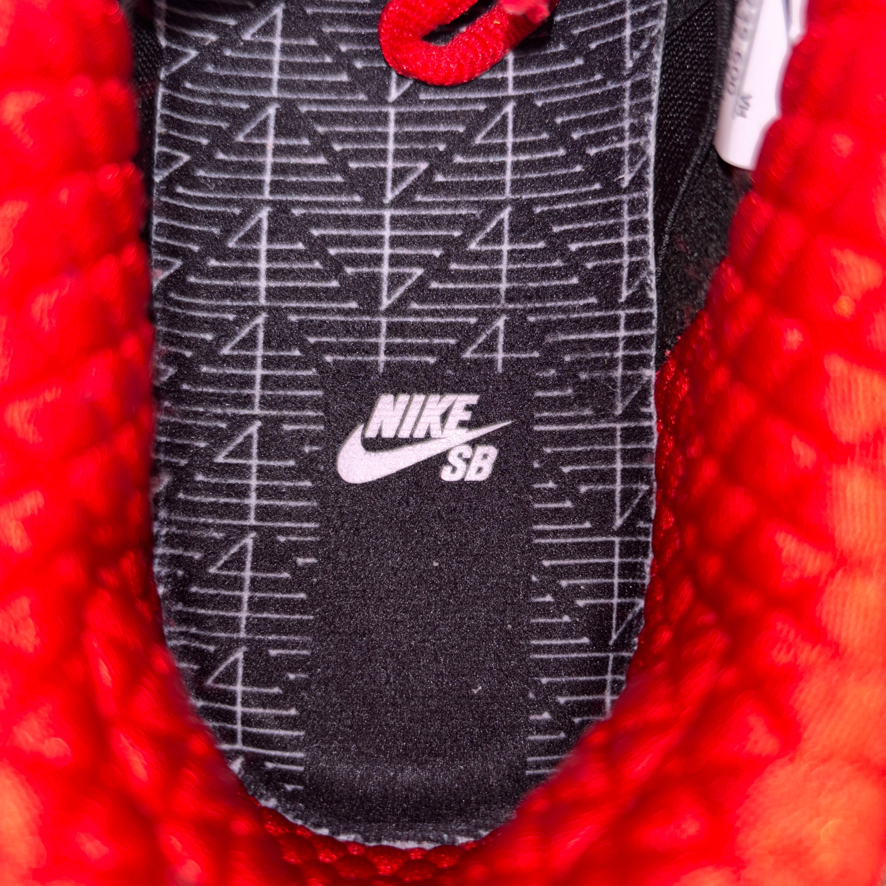 【US8】SB DUNK LOW PRO QS CZ2239-600【USED】