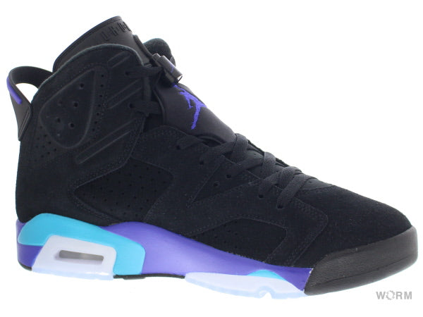 【US9.5】 AIR JORDAN 6 RETRO CT8529-004 【DS】