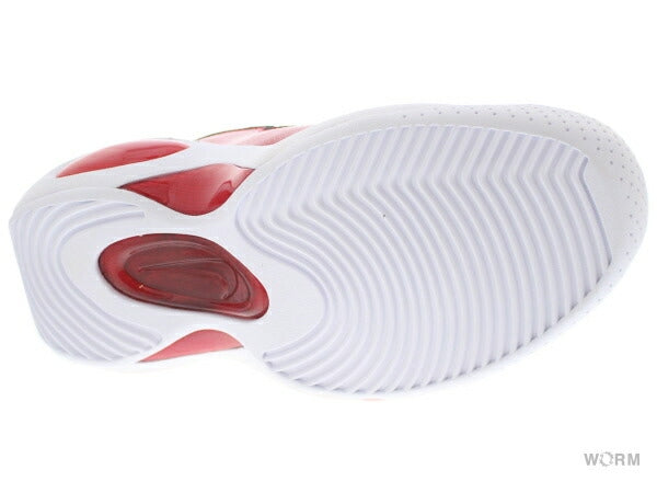 【US10.5】 NIKE AIR ZOOM FLIGHT 95 DX1165-100 【DS】