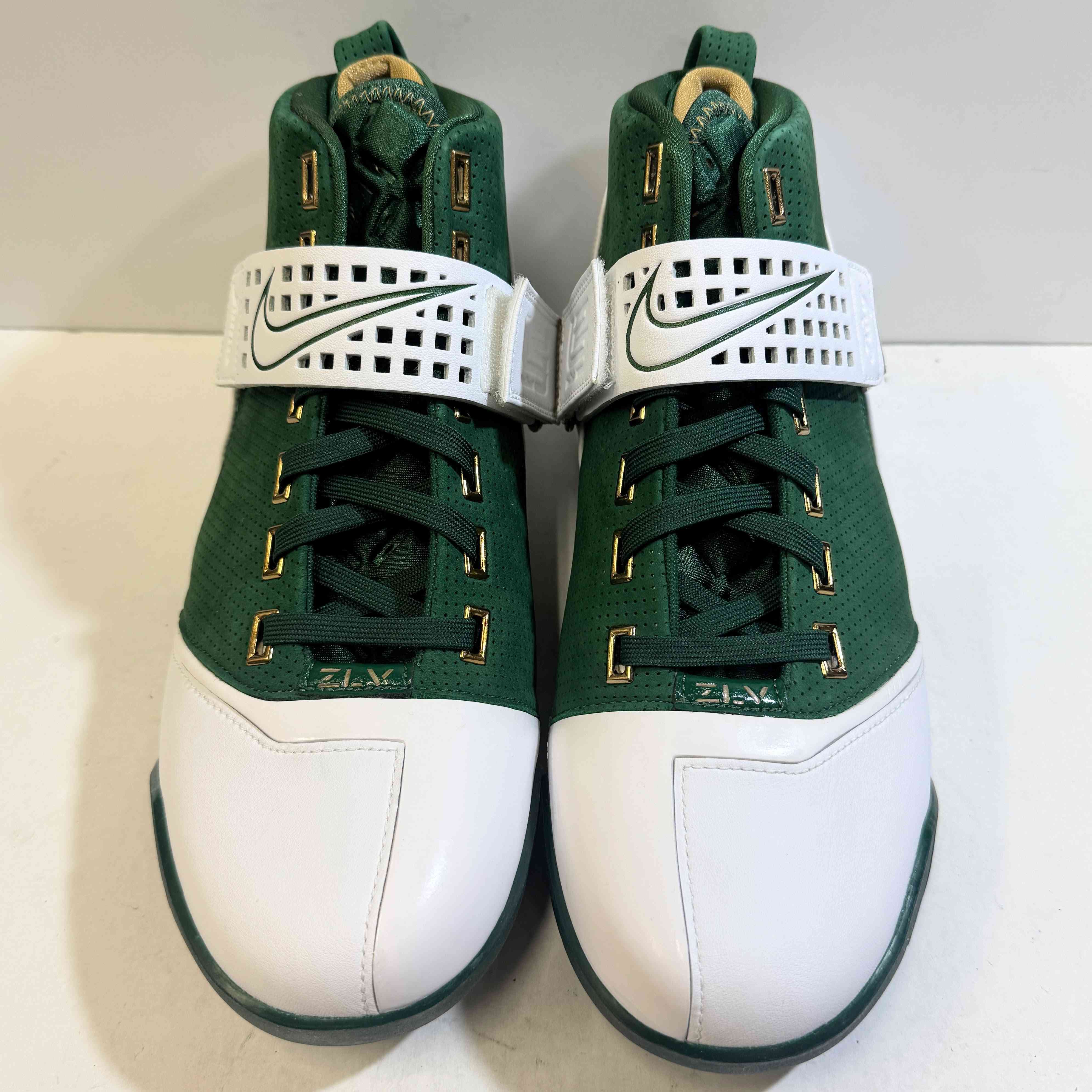 【US10.5】 NIKE ZOOM LEBRON 5 317253-311 【DS】