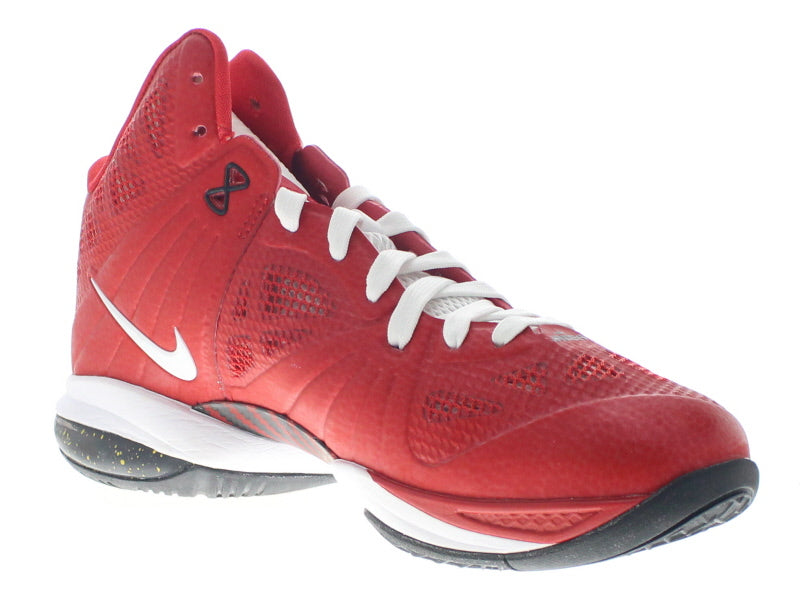 lebron ps 8