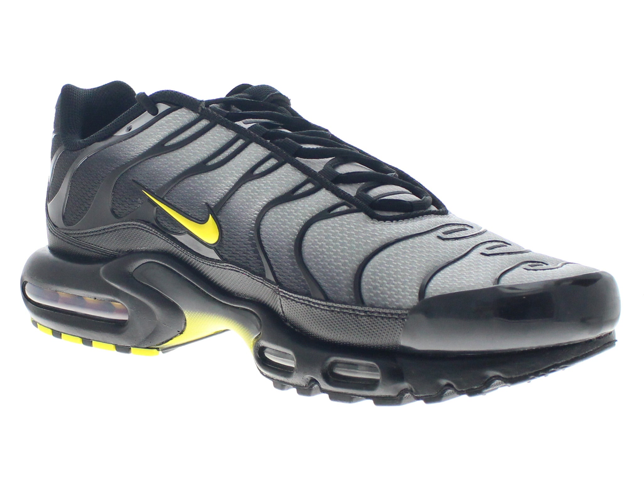 【US13】 NIKE AIR MAX PLUS DM0032-012 【DS】
