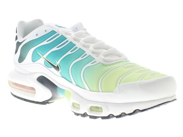 【W US12】 NIKE W AIR MAX PLUS DZ3670-102 【DS】