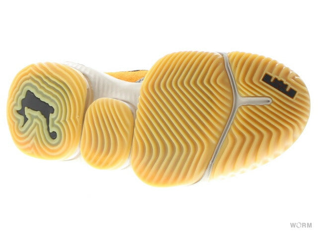【US11】 NIKE LEBRON 16 LOW CD9471-800 【DS】