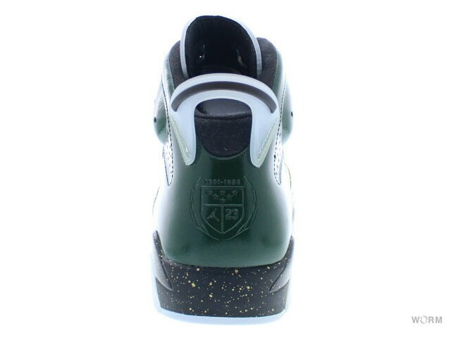 【US11】 AIR JORDAN 6 RETRO CHAMPAGNE 384664-350 【DS】