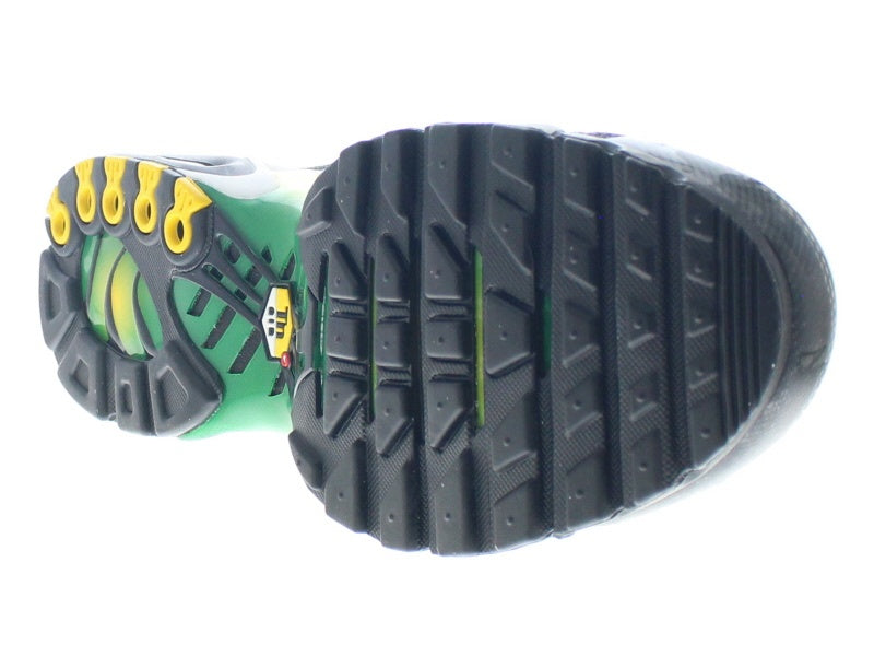 【US12】 NIKE AIR MAX PLUS IB7671-700 【DS】